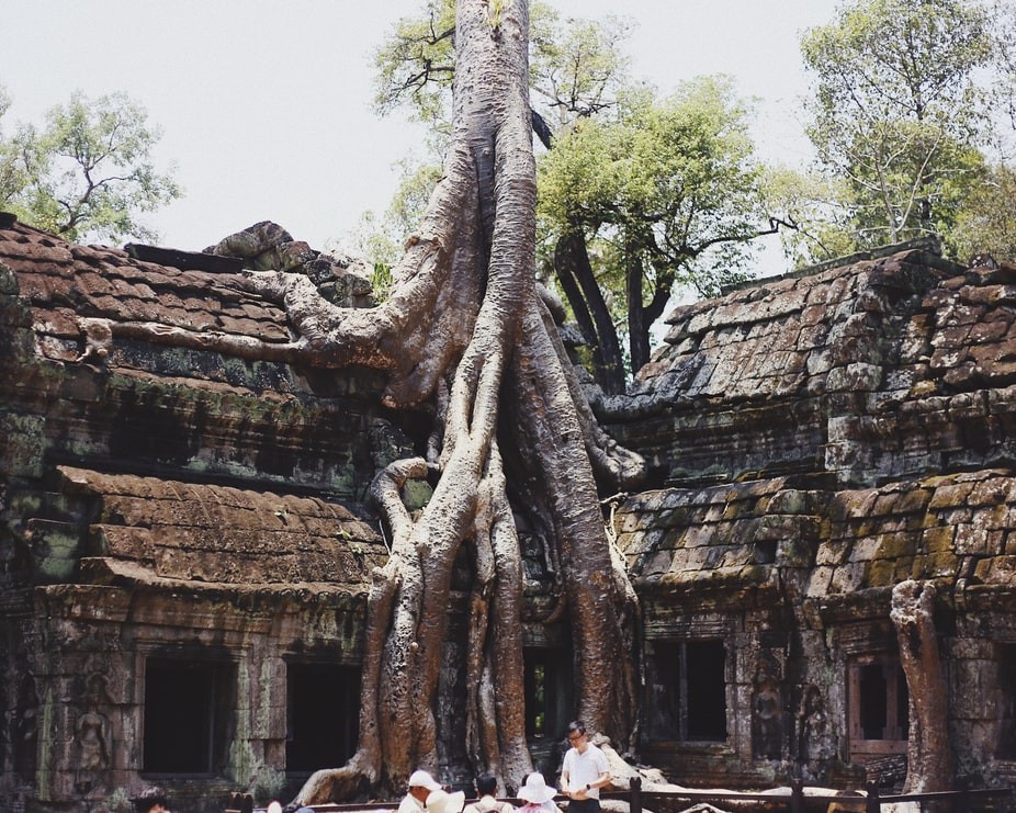 Temple de Angkor Wat readytogo